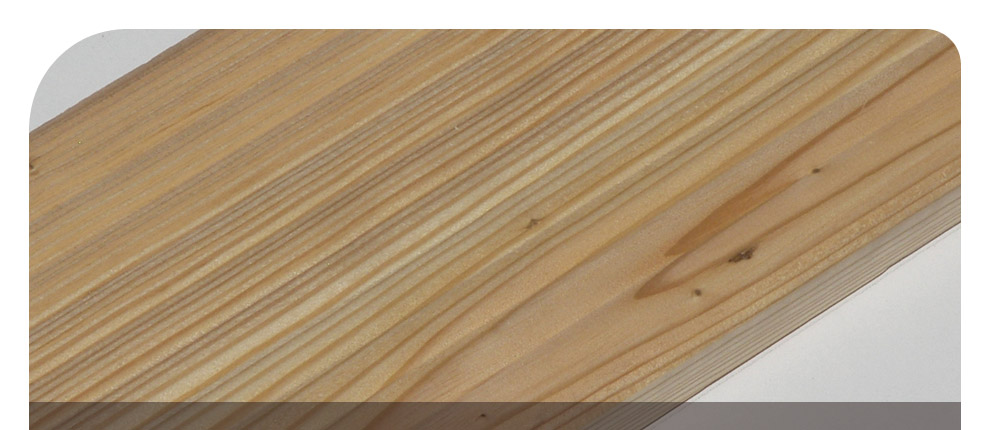 Sibirische Lrche Riffelbole